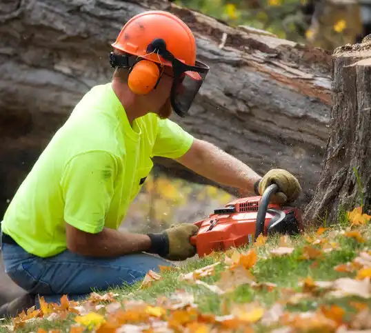 tree services Texico